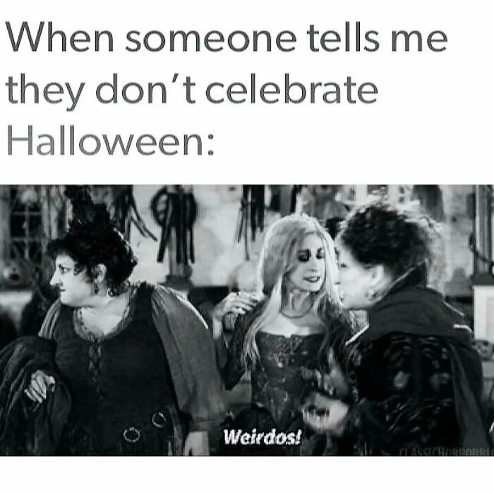 Spooky season meme featuring Hocus Pocus witches calling non-celebrators weirdos