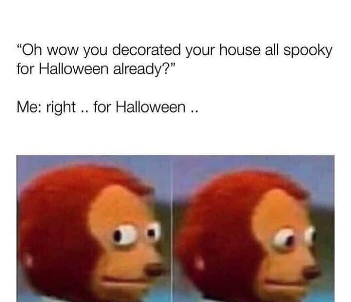Awkward monkey puppet meme about year-round spooky season memes decor