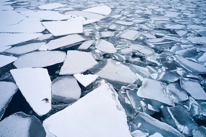 Aerial view of fractured sea ice for the OurNature Environmental Photo Awards entry.