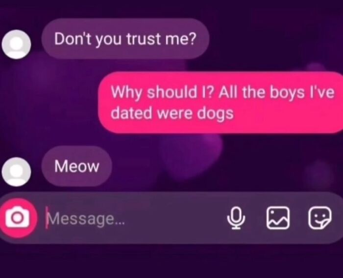 Awkward text screenshot showing a conversation where someone replies meow to being called a dog.