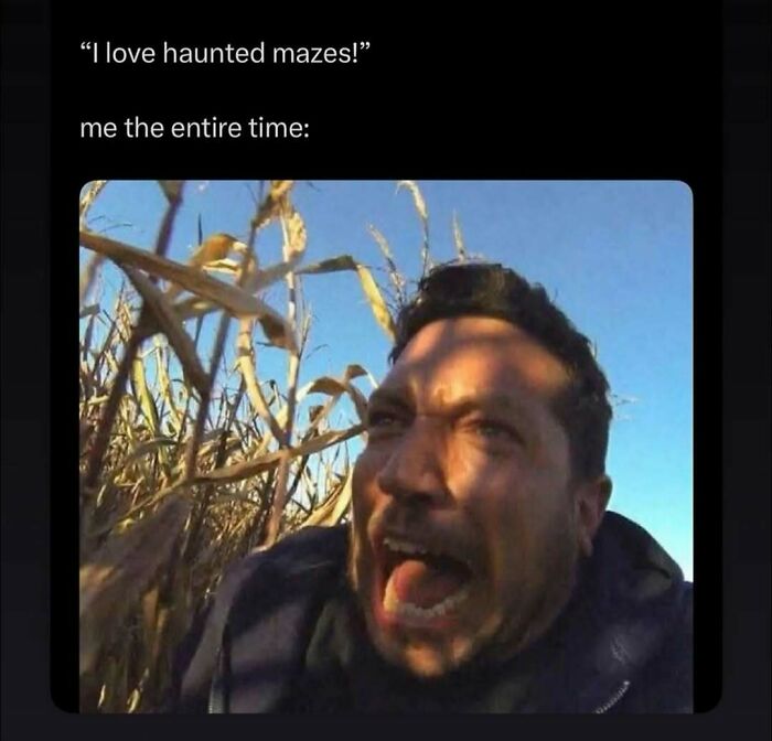 Spooky season meme of a terrified man screaming in a haunted corn maze.