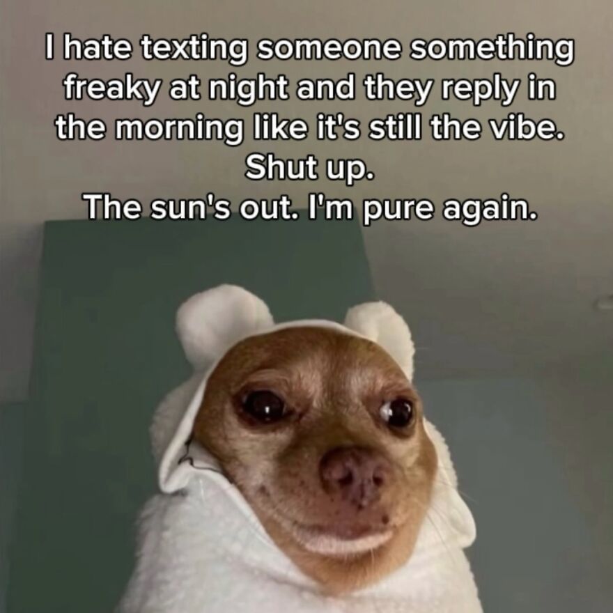 Relatable memes featuring a small dog wrapped in a white hood looking innocent after texting late at night.
