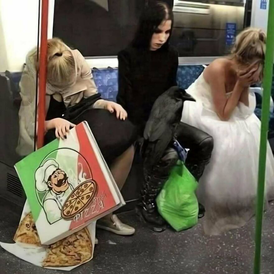 Unusual passengers including a goth person with a raven sitting on a train in out-of-context pics.