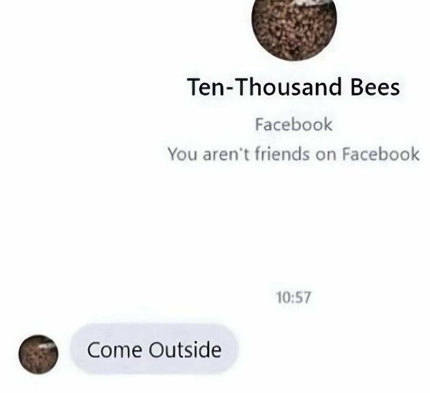 Out-of-context pics showing a strange Facebook message from an account named Ten-Thousand Bees.