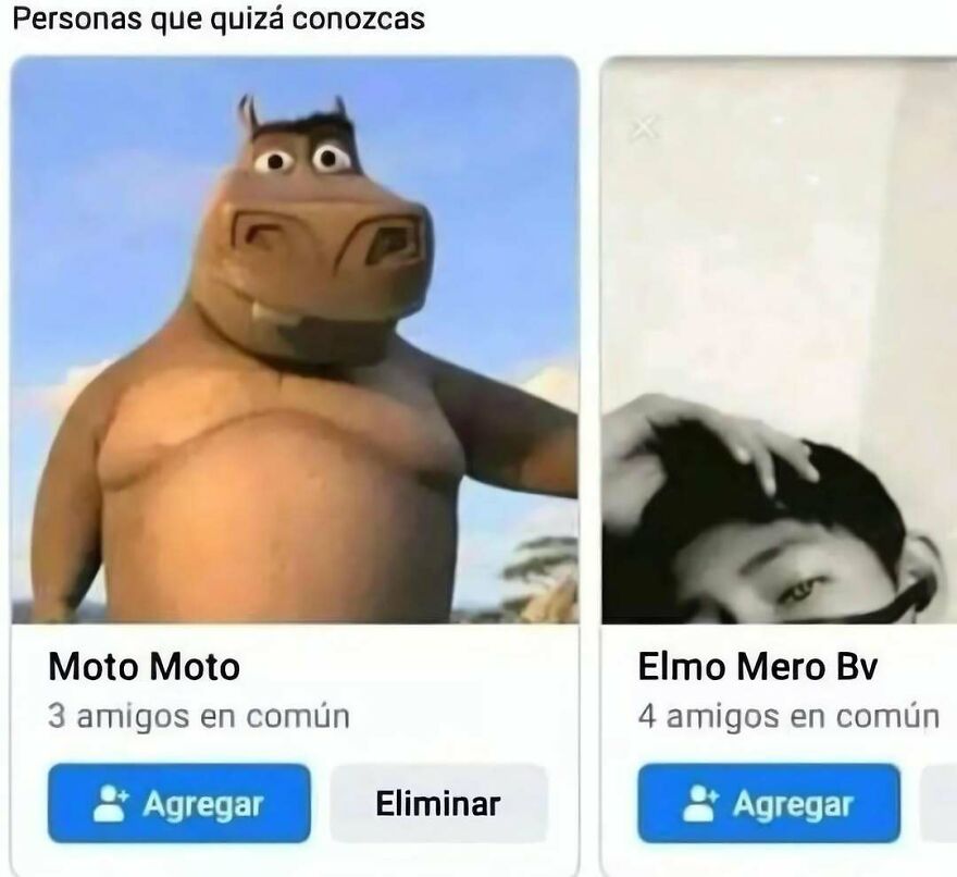 A hilarious friend suggestion interface showing Moto Moto as one of these out-of-context pics.