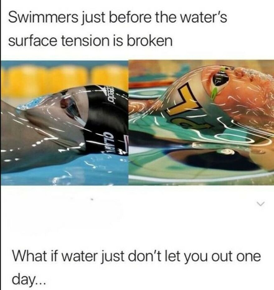 Out-of-context images of swimmers emerging through water surface tension with a funny caption