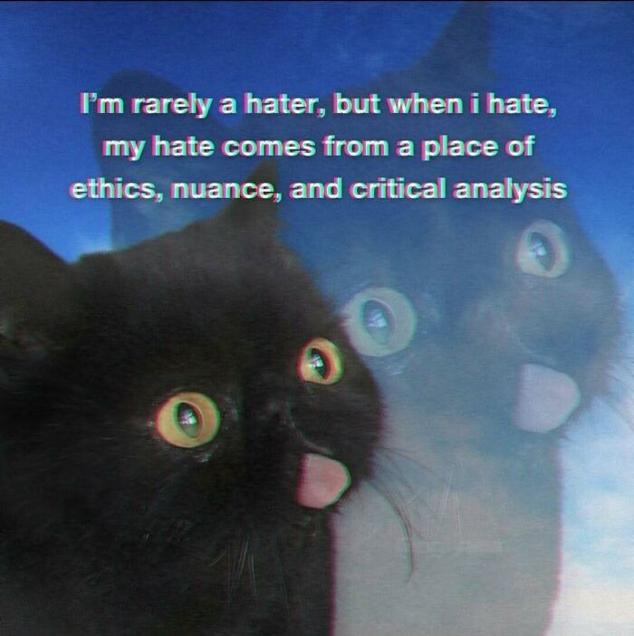 Black cat meme with text about hate from ethics and critical analysis