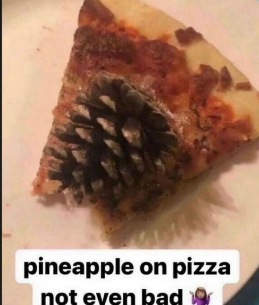 A slice of pizza topped with an actual pinecone, making for hilarious out-of-context pics.