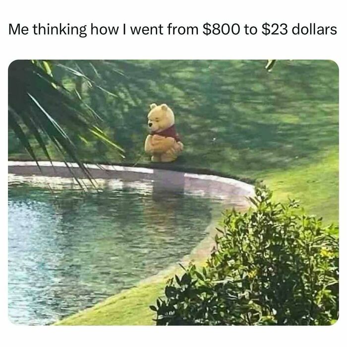 Winnie the Pooh sitting by pool thinking about money loss meme