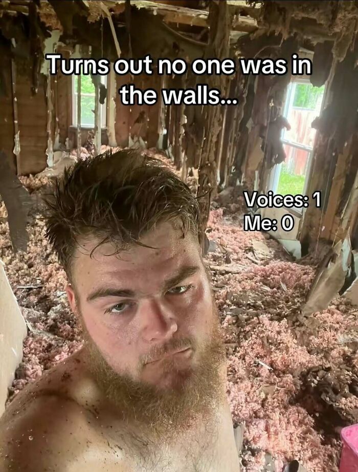 Man covered in insulation with text about voices in walls meme