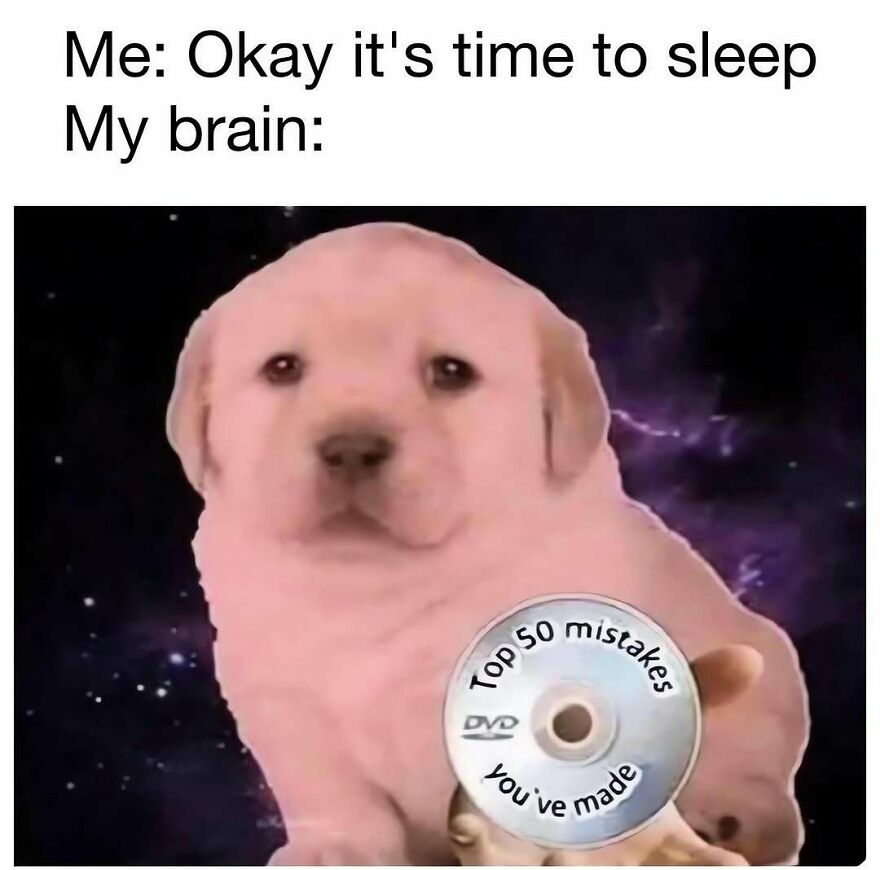 Sad puppy holding a DVD album in space from funny out-of-context pics