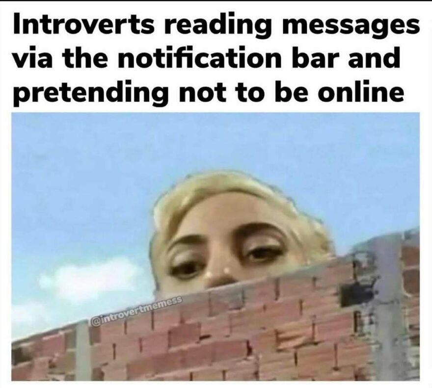 Funny out-of-context pics meme showing a face peeking over a brick wall.
