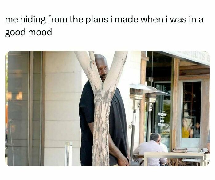 Man hiding behind tree meme about avoiding plans made in good mood
