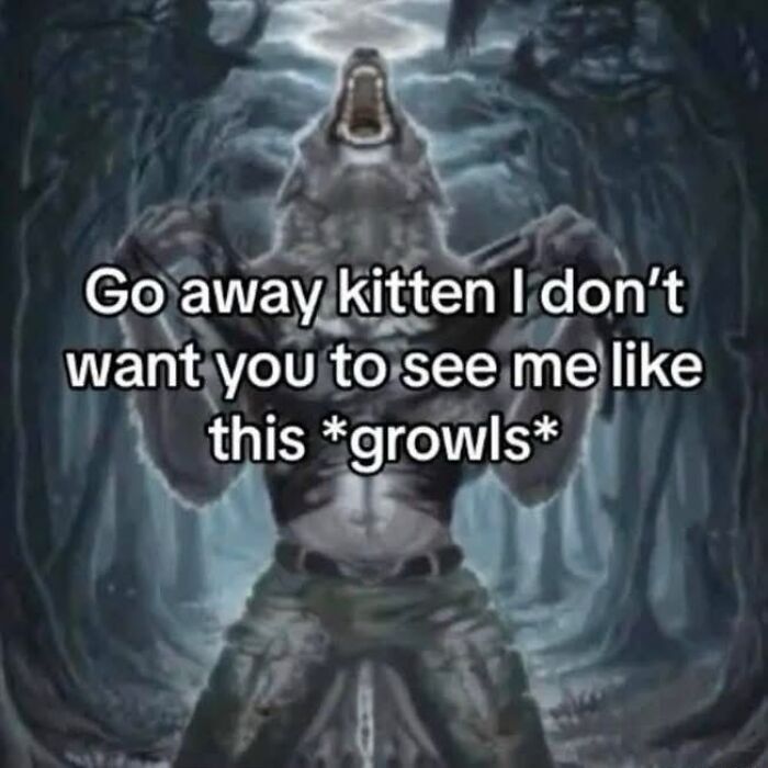 Relatable meme of a growling werewolf telling kitten to go away