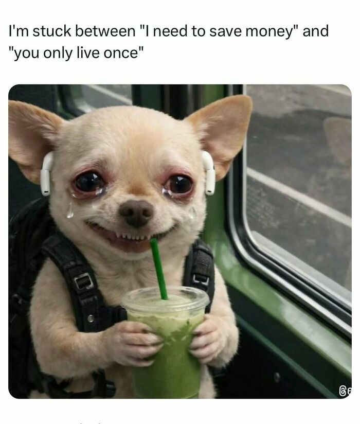 Crying dog with drink showing meme about saving money vs YOLO