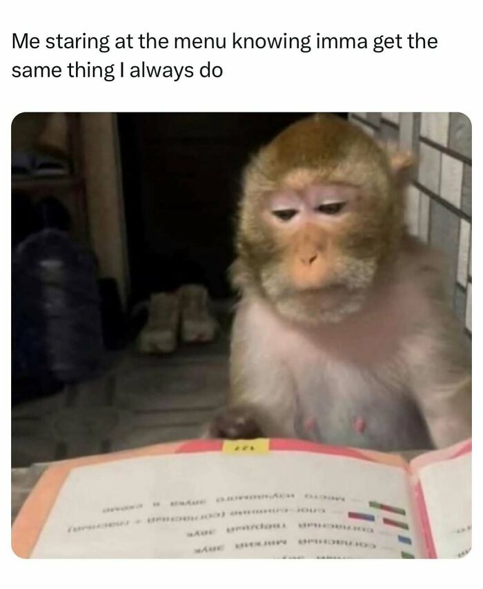 Monkey looking at menu meme about always ordering the same thing