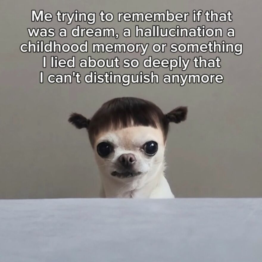 Funny memes with a wide-eyed chihuahua looking confused under text about mixing up childhood memories.