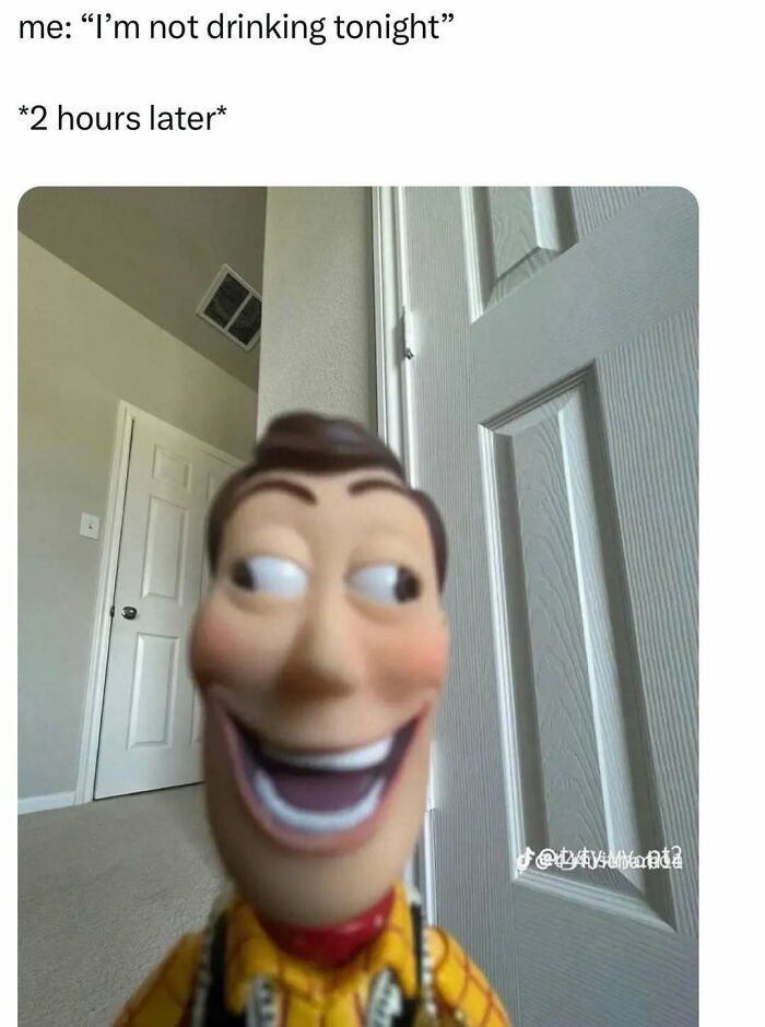 Funny meme of Woody toy with caption about drinking tonight