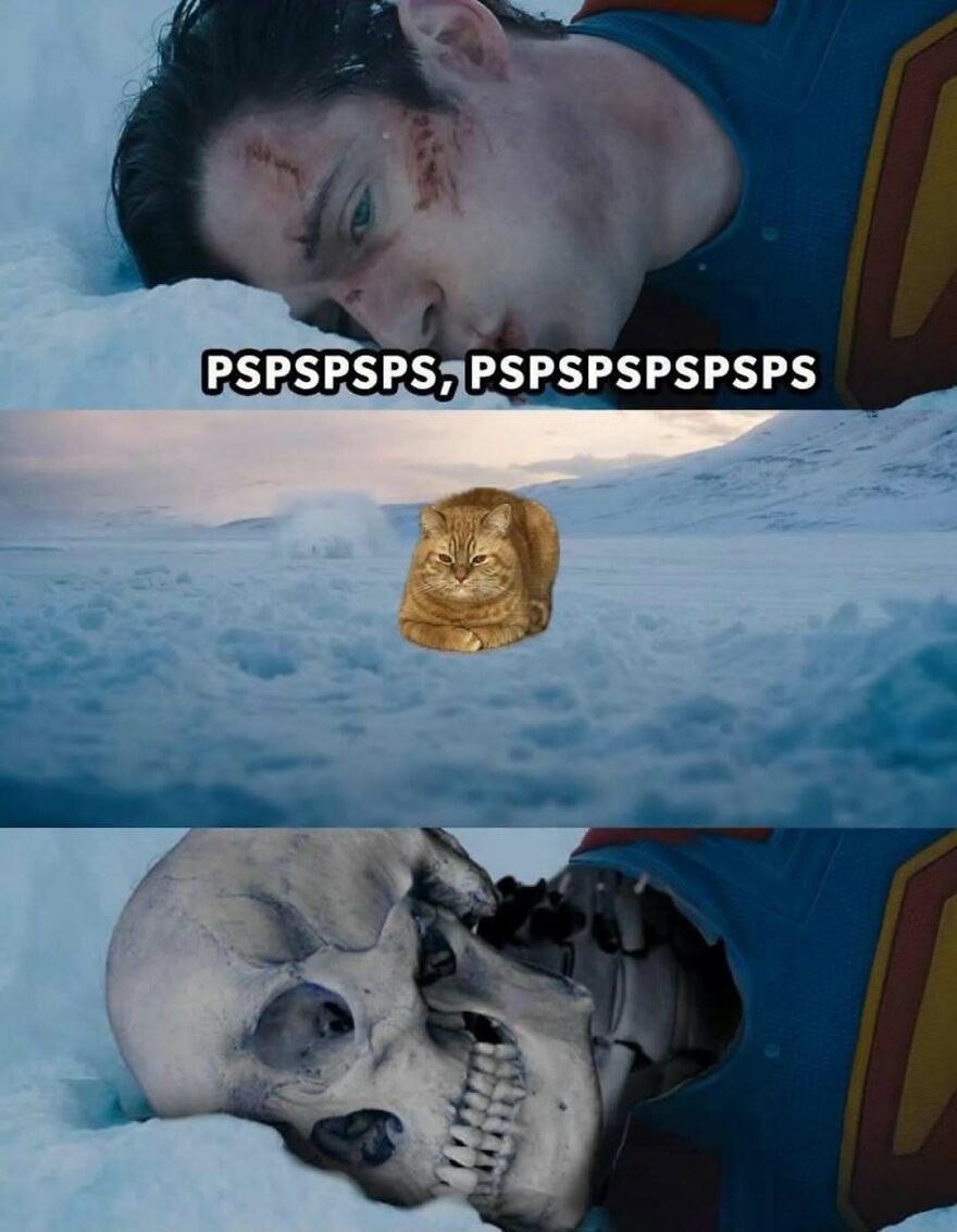 A three-panel meme showing a man calling a cat in the snow, adding to bizarre out-of-context pics.