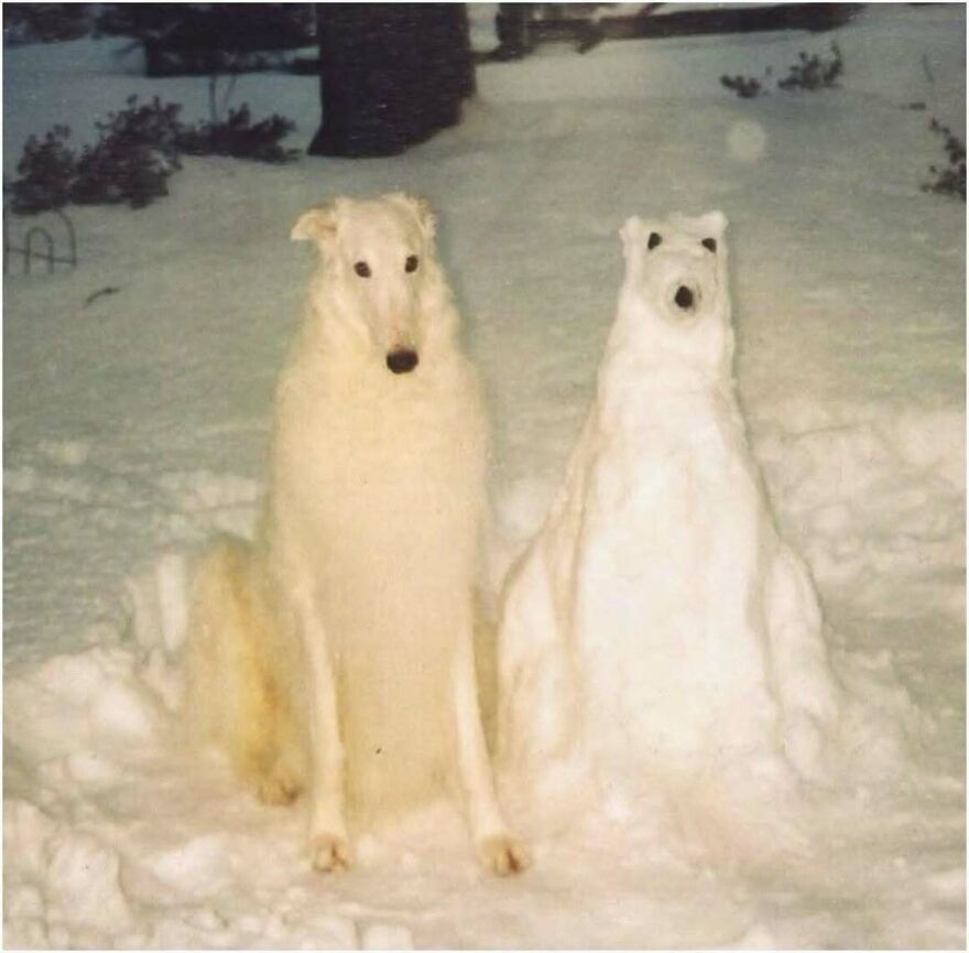 A Borzoi dog sitting next to a snow sculpture of itself in a series of funny out-of-context pics.