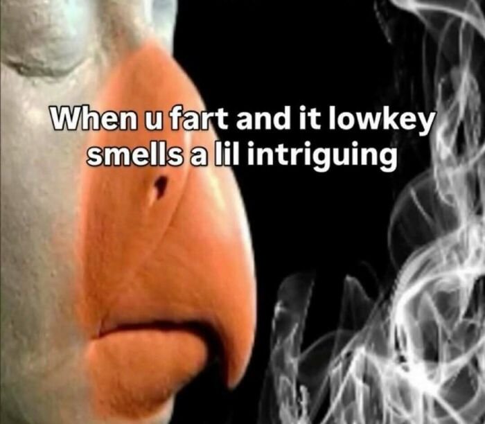 Relatable humor meme about a fart that oddly smells intriguing with a close-up nose