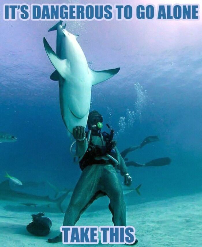 Hilarious pics of a scuba diver holding a shark upside down underwater with meme text