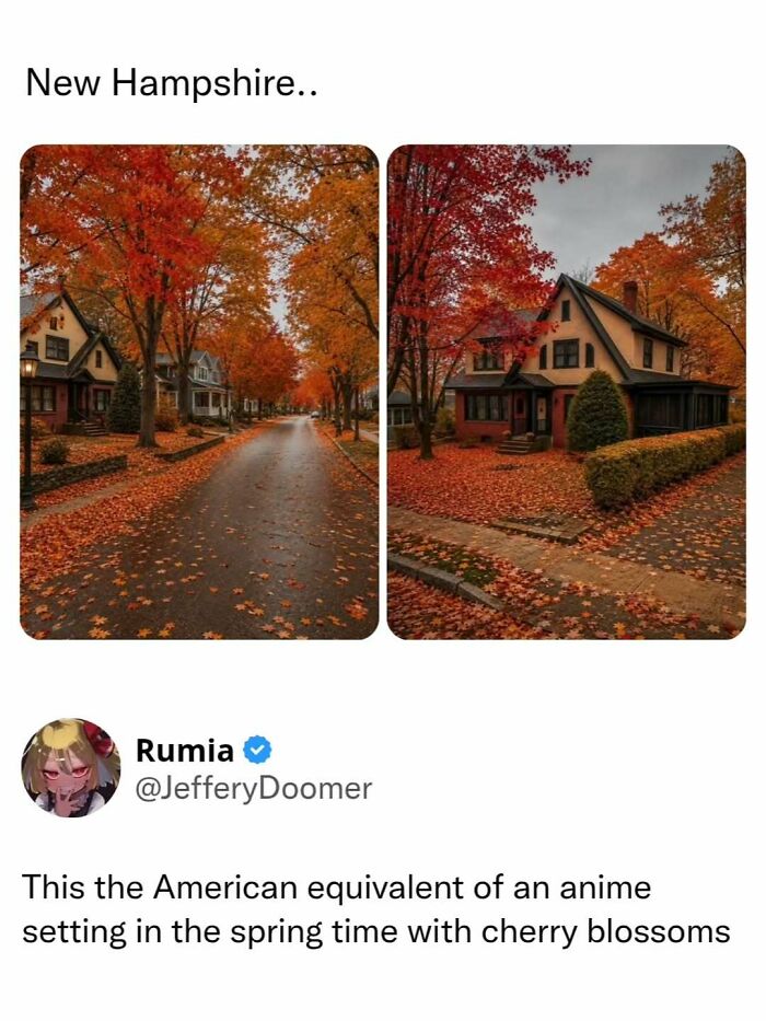 Scenic New Hampshire fall foliage photos shared as funny memes to friends.