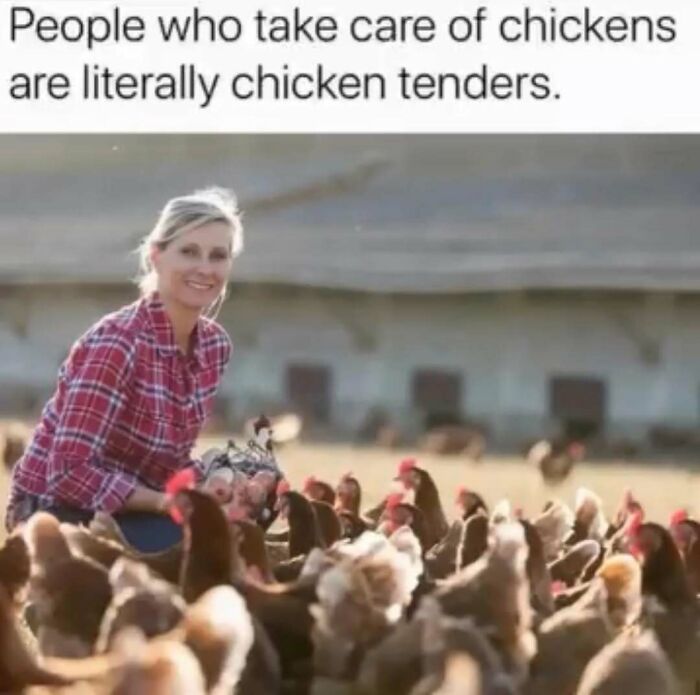 Joke meme depicting woman caring for chickens as chicken tenders