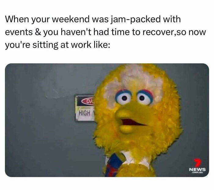 Big Bird tired and overwhelmed meme after a busy weekend at work