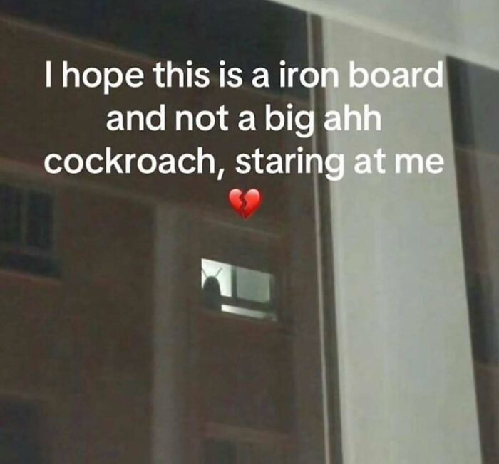 A silhouette in a window looking like a giant cockroach featured in hilarious pics