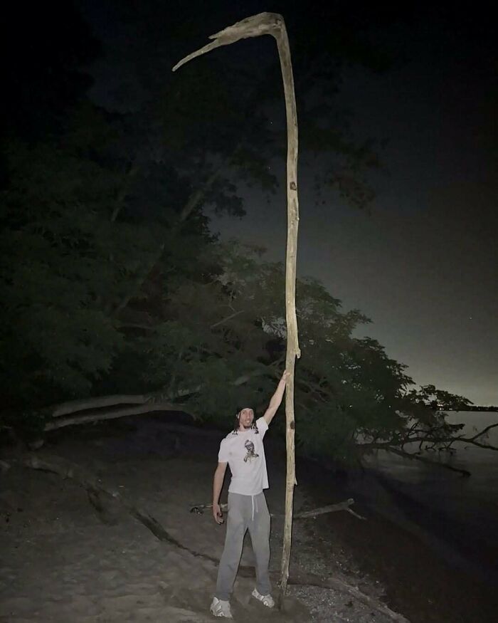 A man holding a giant scythe-shaped stick outdoors showcased in amusing posts