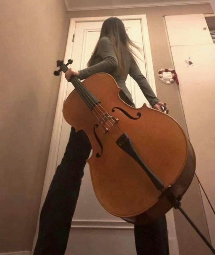 Low angle perspective of a person standing behind a large cello in hilarious pics.