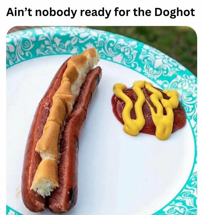 Hot dog meme with unusual bun placement and ketchup mustard on plate