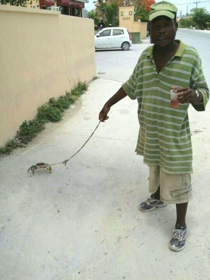 A man in a green shirt walking a live crab on a string leash down the street in an amusing photo