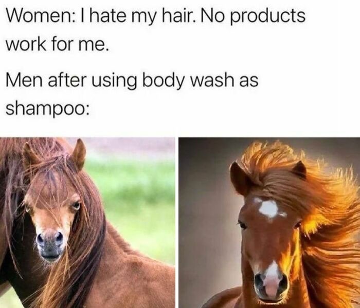 Humorous hair care comparison meme with horses
