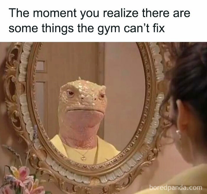 Funny gym realization meme with lizard reflection in mirror