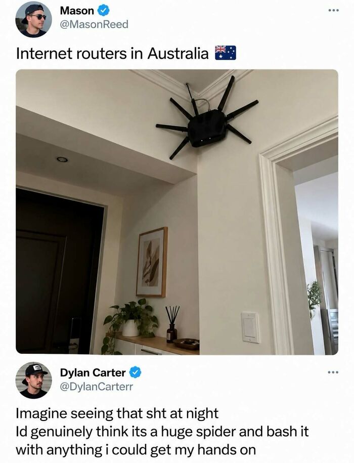A black internet router mounted high on a wall, resembling a spider in a fun post about Australia