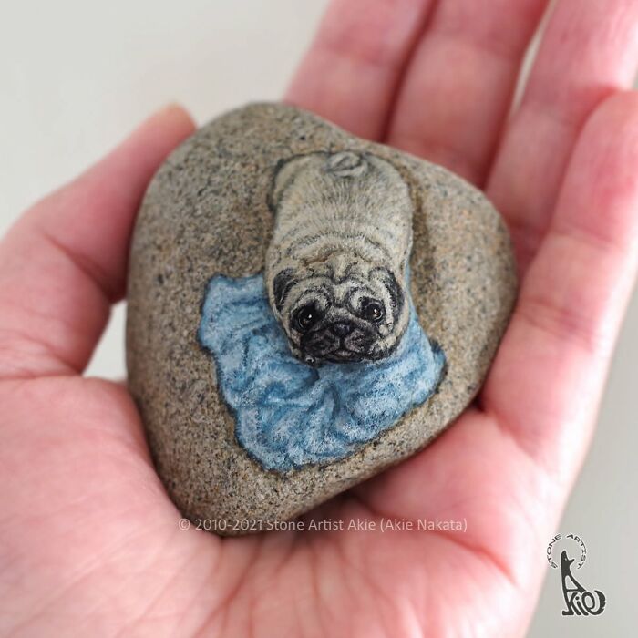 Hand holding stone painted as a detailed pug dog with blue collar art