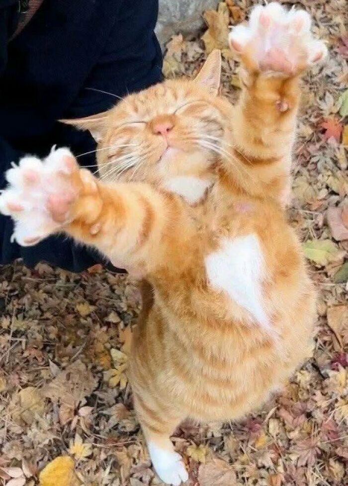 Give Me A Hug.. ❤️