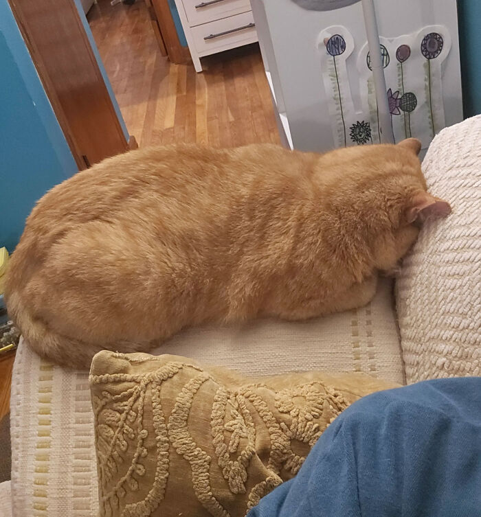 He Really Doesn't Have Time Between Meals To Discuss It