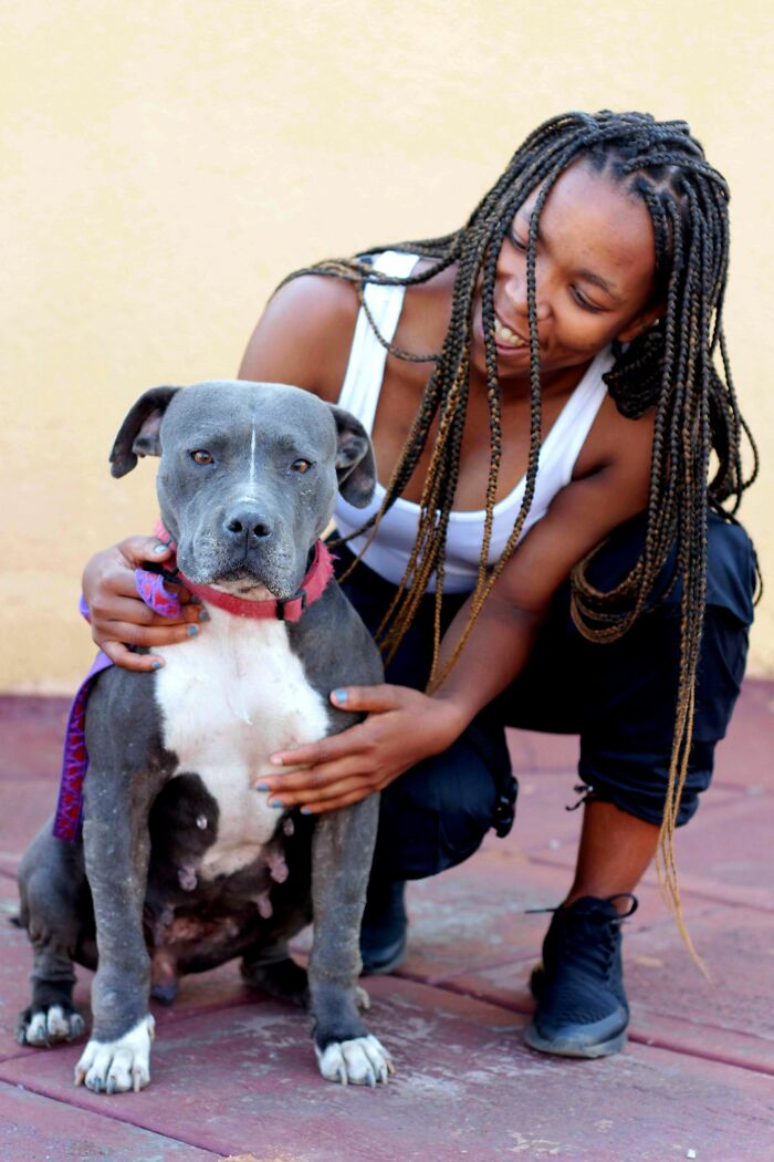 This 'Hunger Games' Star Rescued An Injured Pup At 19, And Now He Shows How Shelter Dogs Heal This 'Hunger Games' Star Rescued An Injured Pup At 19, And Now He Shows How Shelter Dogs Heal