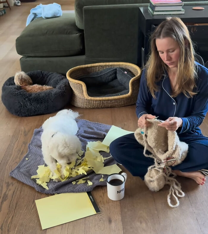 Kristen Bell knitting on the floor at home while her dog plays near paper.