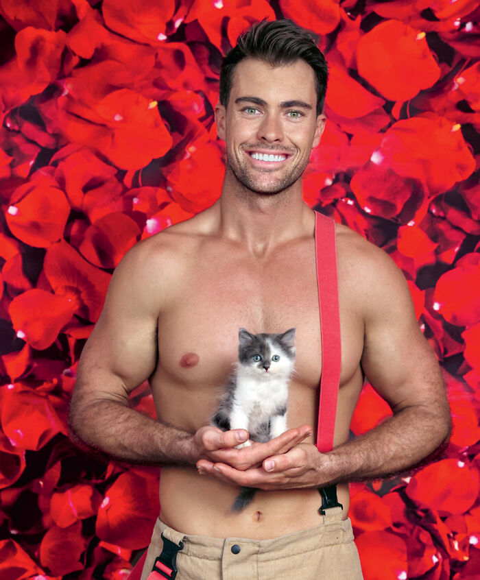 Male firefighter holding a black and white kitten with red rose petals background