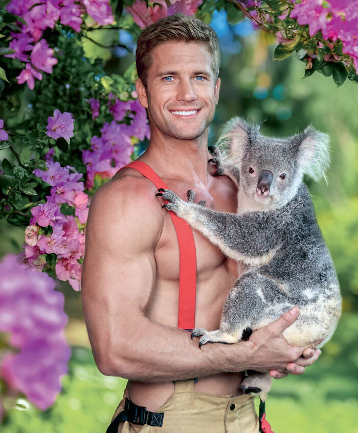 Fit Australian firefighter holding a koala with pink flowers in background