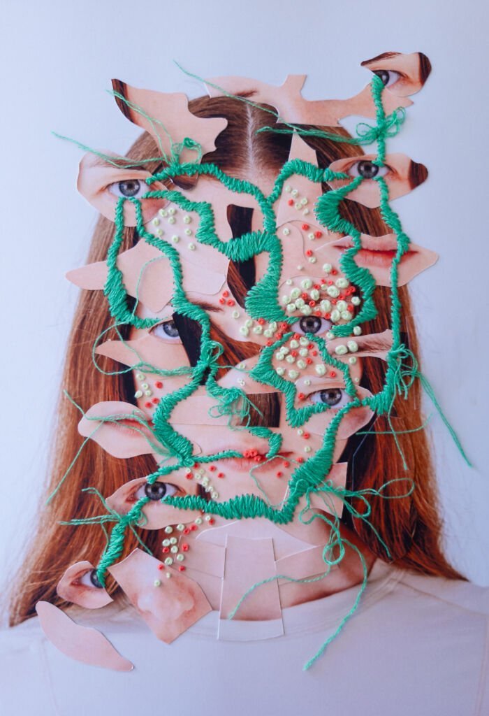Collage And Embroidery Katy Williamson