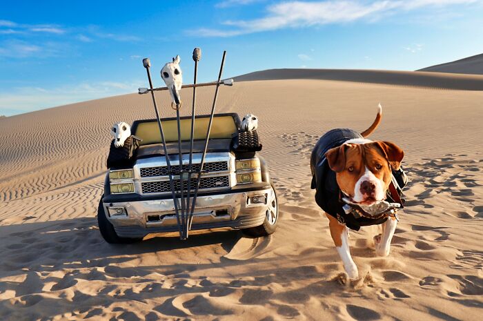 A photographer dog poses in a post-apocalyptic costume next to a custom truck in the desert. A photographer dog poses in a post-apocalyptic costume next to a custom truck in the desert.