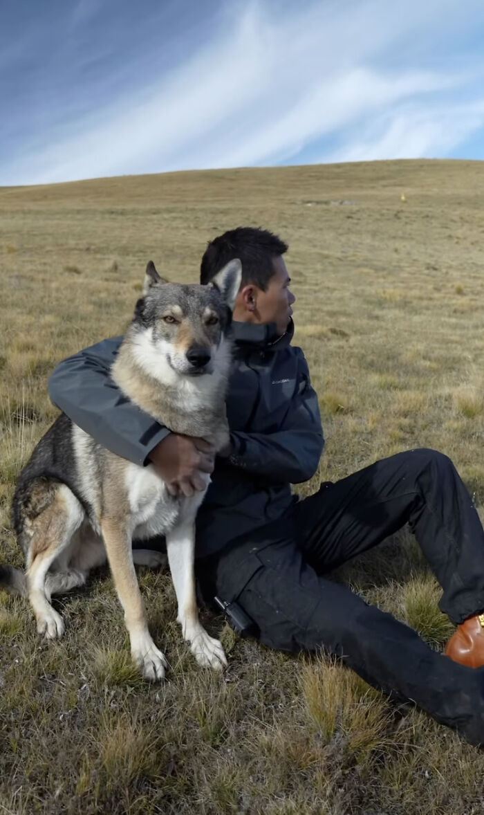 The Wild Adventures Of Zheng And His Wolf Dog Fres Are Winning Hearts Online The Wild Adventures Of Zheng And His Wolf Dog Fres Are Winning Hearts Online