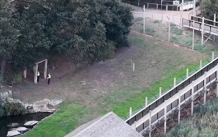 Fate Of Tiger That Mauled Man After He Entered Its Enclosure Finally Revealed