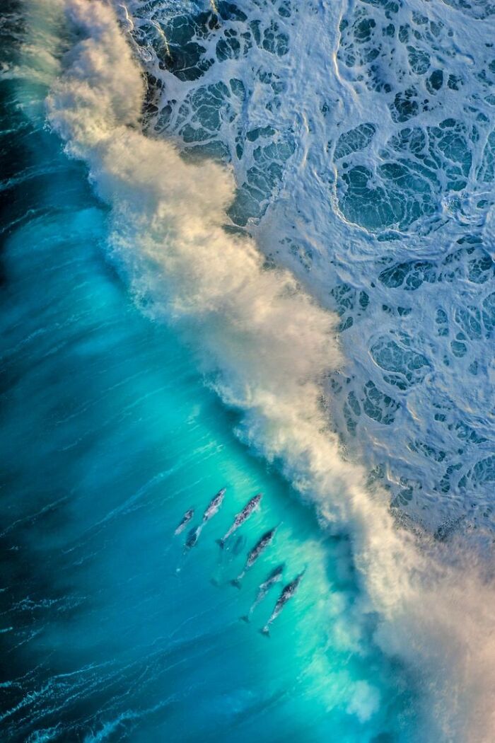 Aerial view of whales swimming beneath ocean waves, submitted to Ournature Environmental Photo Awards.
