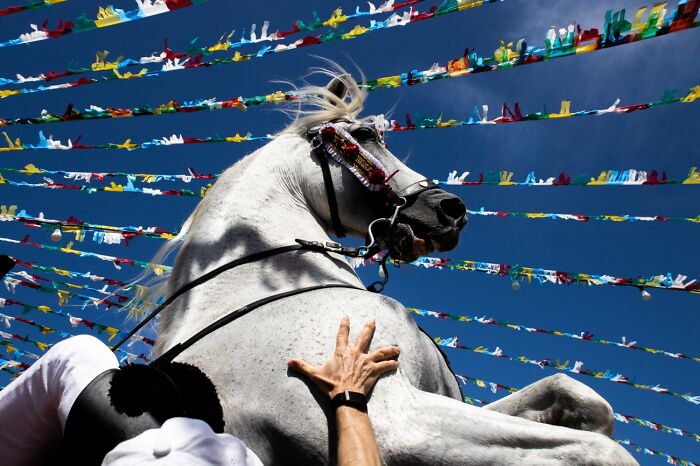 Close-up of a person holding a white horse with colorful flags against a blue sky
